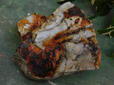 Raw Mineral Specimen with Multicolored Inclusions Rock Stone Lapidary Specimen