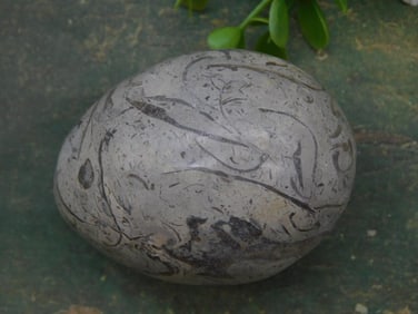 Stone Egg Rock Stone Lapidary Specimen