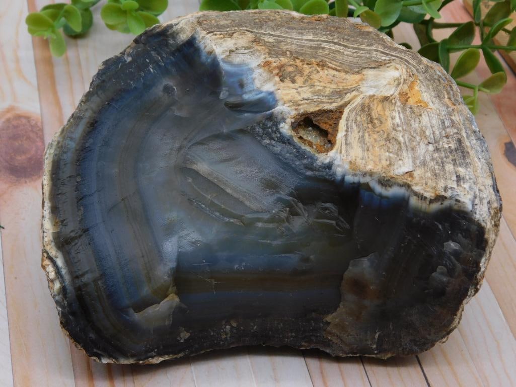 Agate Rock Stone Lapidary Specimen: Agate Rock Stone Lapidary Specimen
