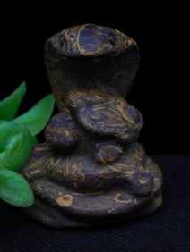 Calligraphy Stone Cobra State Rock Stone Lapidary Specimen