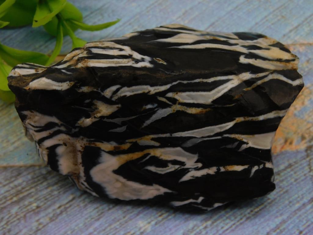 Zebra Rock Stone Lapidary Specimen: Zebra Rock Stone Lapidary Specimen