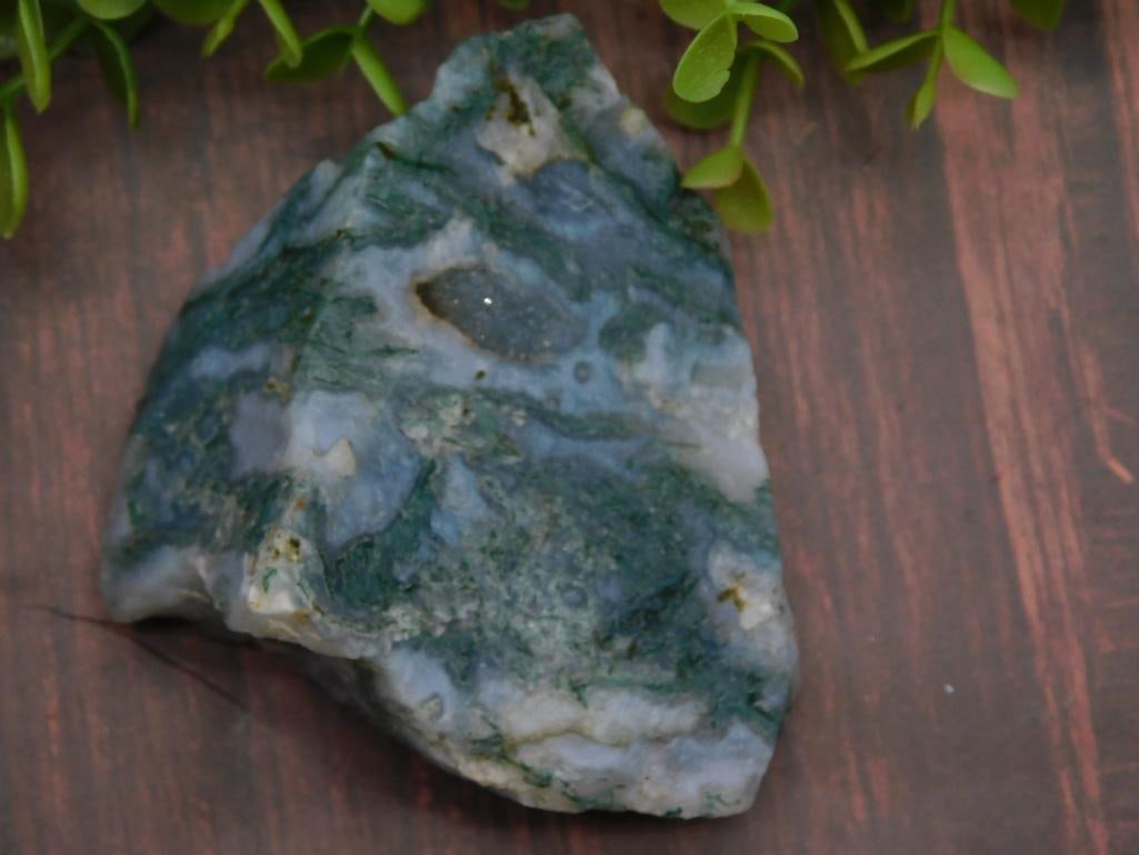 Moss Plume Agate Rock Stone Lapidary Specimen: Moss Plume Agate Rock Stone Lapidary Specimen