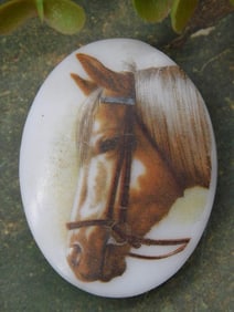 Horse Cabochon Magnet