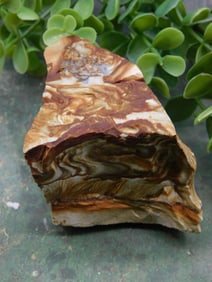 Jasper Rock Stone Lapidary Specimen