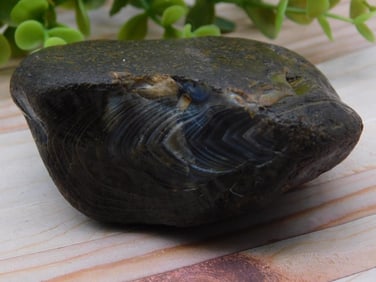 Black Skin Agate ROCK STONE LAPIDARY SPECIMEN