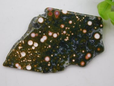 Ocean Jasper Specimen for Collectors ROCK STONE LAPIDARY SPECIMEN