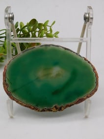 Agate Slice Rock Stone Lapidary Specimen