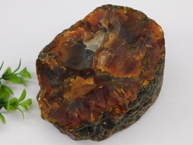 Brazilian Agate Rock Stone Lapidary Specimen