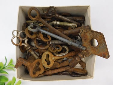 Large Mixed Lot of Skeleton Keys Vintage Antique