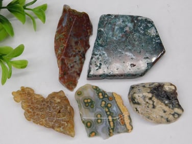 Ocean Jasper Rock Stone Lapidary Specimen