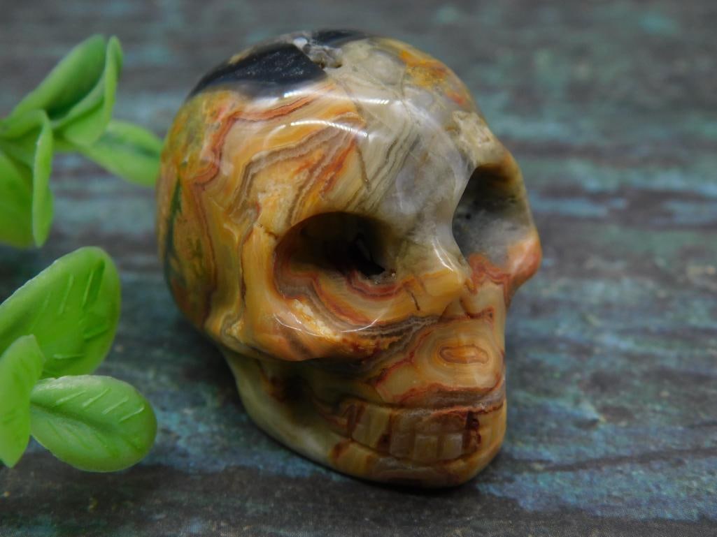 Polished Stone Skull Figurine with Variegated Colors: Polished stone skull figurine featuring unique variegated color patterns, including earthy tones and striations. Compact size, as indicated next to a U.S. quarter coin for scale. Marked at 50 grams on
