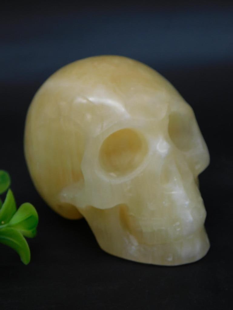 Carved Stone Skull Sculpture Rock Stone Lapidary Specimen: - Features a stone sculpted skull with a polished surface for a smooth finish. | - Compact size, as shown in comparison to a quarter in the photo for scale. | - Weighs approximately 313 grams as noted