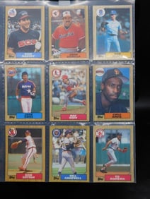 Vintage Baseball Trading Cards in Sleeve