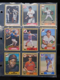 Baseball Cards in Plastic Sleeve
