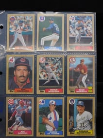 Baseball Cards in Sleeve