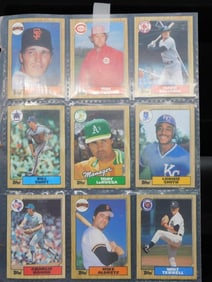 Baseball Trading Cards in Plastic Sleeve