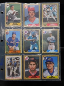 Baseball Card Collection in Plastic Sleeves