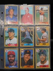 Baseball Cards in Protective Sleeve