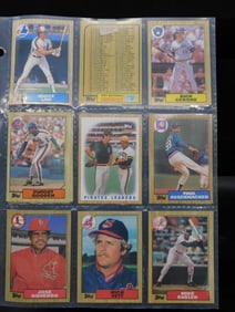 Vintage Baseball Cards in Plastic Sheet