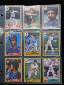 Vintage Baseball Cards in Plastic Sleeves