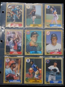 Baseball Trading Cards in Protective Sleeves