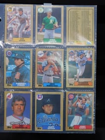 Baseball Cards in Plastic Sleeves