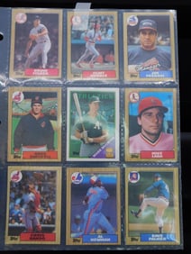 Baseball Trading Cards in Protective Sleeve