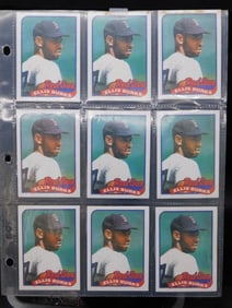 Vintage Baseball Trading Cards in Plastic Sleeves