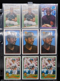 Baseball Trading Cards in Protective Page Set