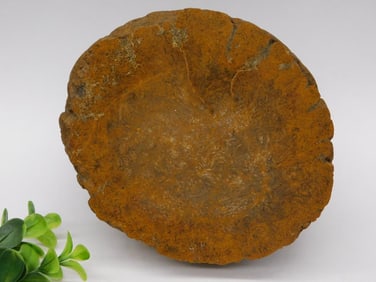 5 POUND AGATE ROCK STONE LAPIDARY SPECIMEN