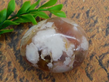 HATMANS FLOWER PETAL AGATE ROCK STONE LAPIDARY SPECIMEN