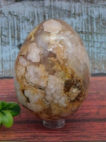 HATMANS FLOWER PETAL AGATE ROCK STONE LAPIDARY SPECIMEN