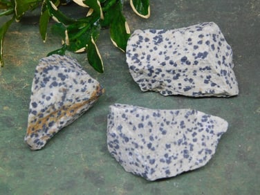 DALMATION JASPER ROCK STONE LAPIDARY SPECIMEN