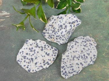 DALMATION JASPER ROCK STONE LAPIDARY SPECIMEN