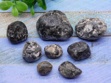 APACHE TEARS ROCK STONE LAPIDARY SPECIMEN