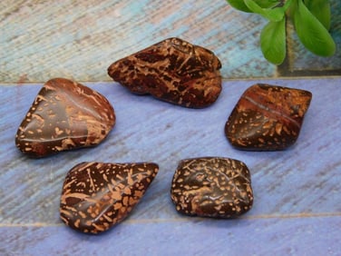 STARBURST JASPER ROCK STONE LAPIDARY SPECIMEN