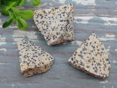 DALMATION JASPER ROCK STONE LAPIDARY SPECIMEN