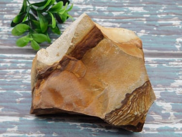 JASPER ROCK STONE LAPIDARY SPECIMEN