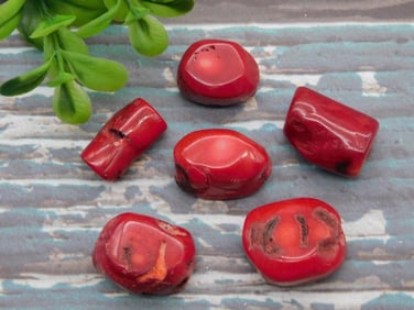 RED CORAL ROCK STONE LAPIDARY SPECIMEN