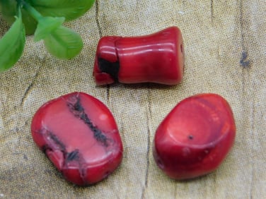 RED CORAL ROCK STONE LAPIDARY SPECIMEN