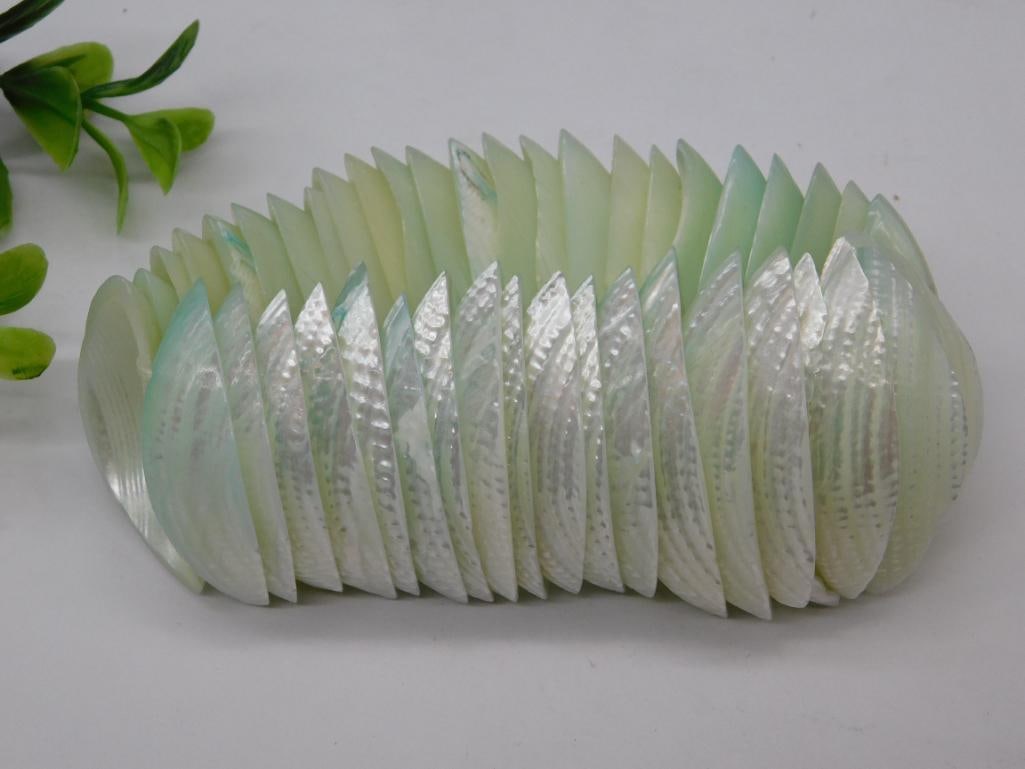 SHELL BRACELET ROCK STONE LAPIDARY SPECIMEN: SHELL BRACELET ROCK STONE LAPIDARY SPECIMEN