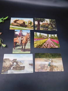 Collection of 6 Colorful Postcards Depicting Various Scenes: This lot features six colorful postcards showcasing a variety of scenic and pictorial themes. The postcards appear to include imagery such as gardens, rural landscapes, individuals with horses, and co