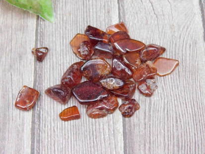 Lot of Polished Red-Brown Gemstones, 12 Grams: Lot of small polished red-brown gemstones. Total weight is marked as 12 grams. The stones exhibit natural variations in color and shape. They have a glossy finish and appear well-suited for crafting o