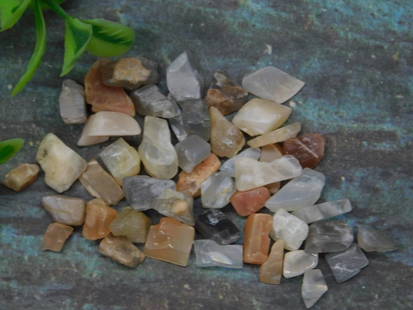 Assorted Polished Gemstones 12 Grams: This lot includes an assortment of small polished rock and mineral pieces of varying shapes and natural colors. The total weight of the lot is 12 grams, as indicated. A quarter is used for size refere