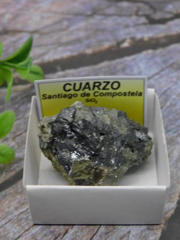Quartz Specimen From Santiago de Compostela, Spain Rock Stone Lapidary Specimen: Quartz mineral specimen originating from Santiago de Compostela, Spain. Presented in a small display box for storage and presentation. The specimen weighs approximately 36 grams. Includes label identi