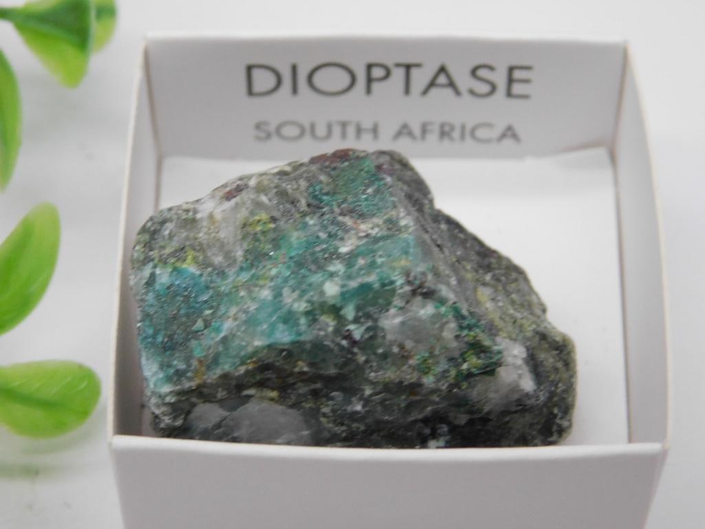 Dioptase Mineral Specimen from South Africa Rock Stone Lapidary Specimen: A natural Dioptase mineral specimen originating from South Africa. It includes a box for display and protection. The specimen weighs approximately 30 grams. It is an excellent sample for collections o