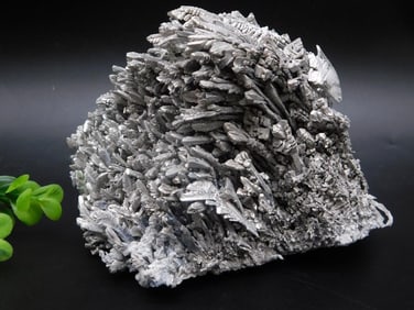 FEATHER PATTERN MAGNESIUM ROCK STONE LAPIDARY SPECIMEN