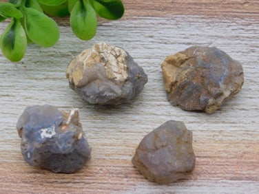 ELLENSBURG AGATE ROCK STONE LAPIDARY SPECIMEN