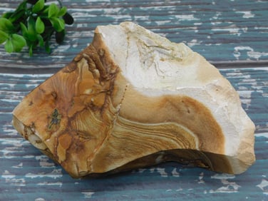 JASPER ROCK STONE LAPIDARY SPECIMEN