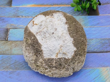 3 POUND AGATE ROCK STONE LAPIDARY SPECIMEN